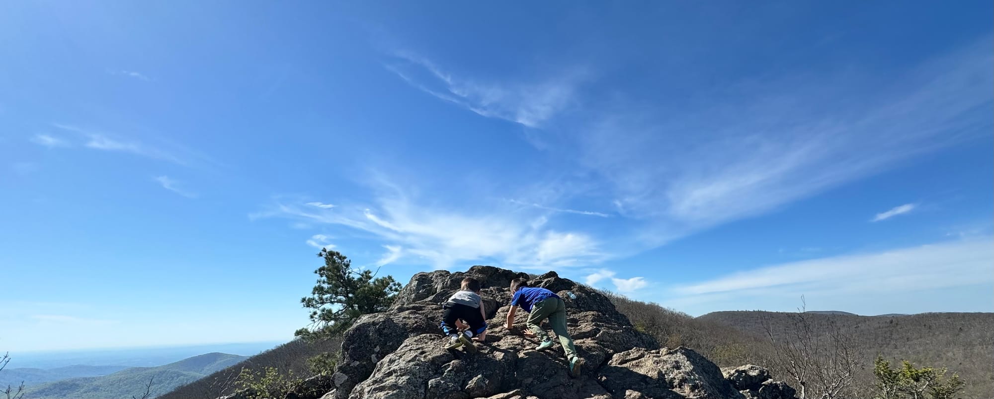 The McCoy/Bowman Site